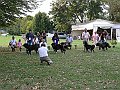 img 100